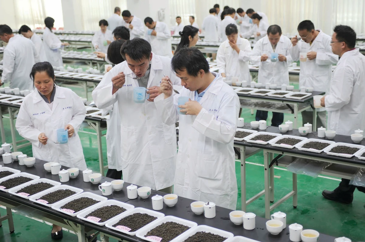 Taiwan tea: Matter of passion and profit