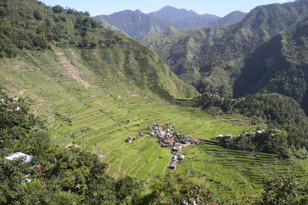 Philippines rice terraces off UN's endangered list