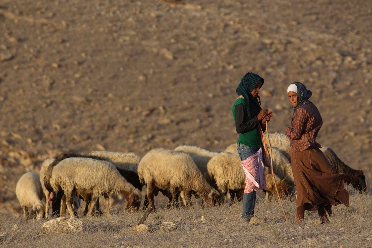 Mosque doubles as work haven to Israel’s Bedouin women