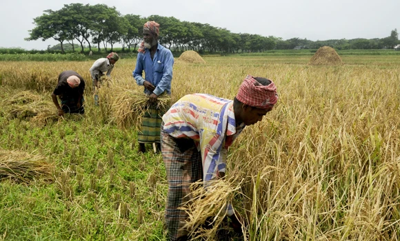 Bangladesh hikes spending 19%