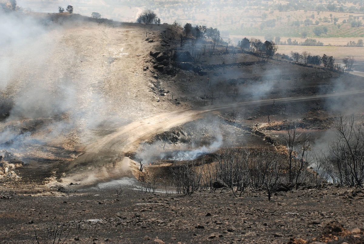 Explosion shuts down oil pipeline in Turkey