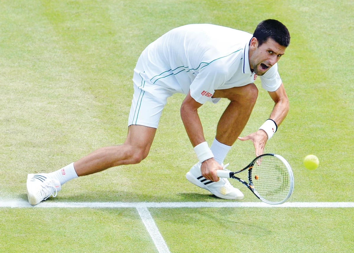 Djokovic, Federer seal semifinal showdown
