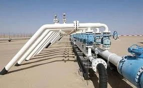 Half of Libya's oil exports hit by protests