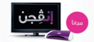 Free Shashti subscription for Invision subscribers