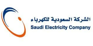 SEC team shares electricity expertise in Dubai talks
