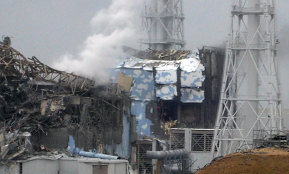 Japan’s atomic disaster caused by “collusion” — panel report