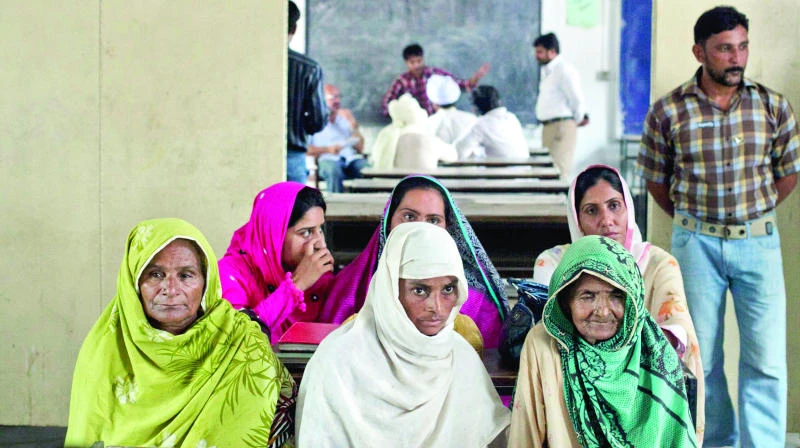 Pakistan’s dairy pioneers struggle to milk the market
