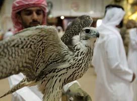 ADIHEX 2012: Celebrating GCC’s
deep-rooted traditions and culture