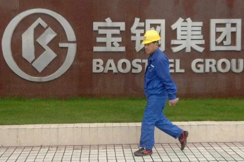 Top steelmaker shuts mill
