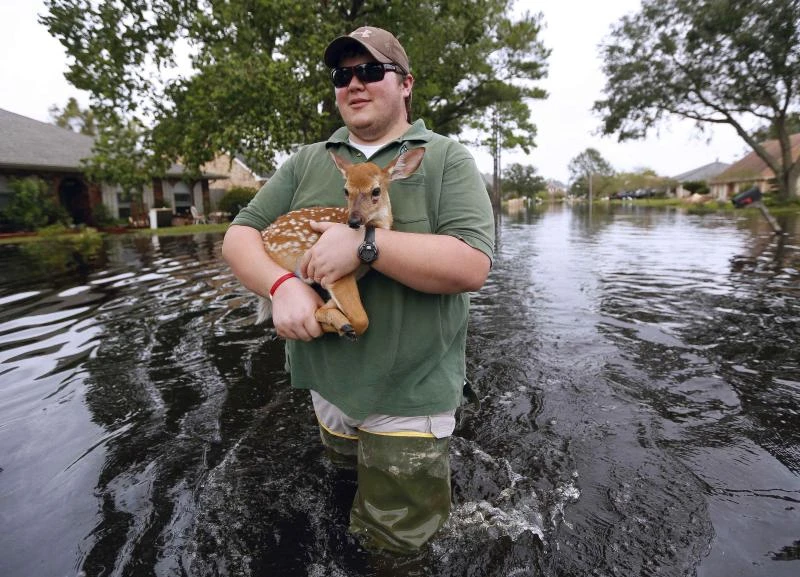 Waters recede in Louisiana, leaving sopping mess