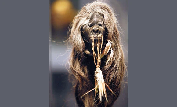 Tribal museum spins age-old story of hair