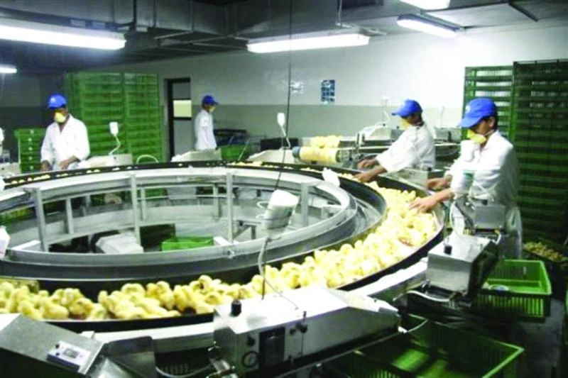Poultry prices shoot up