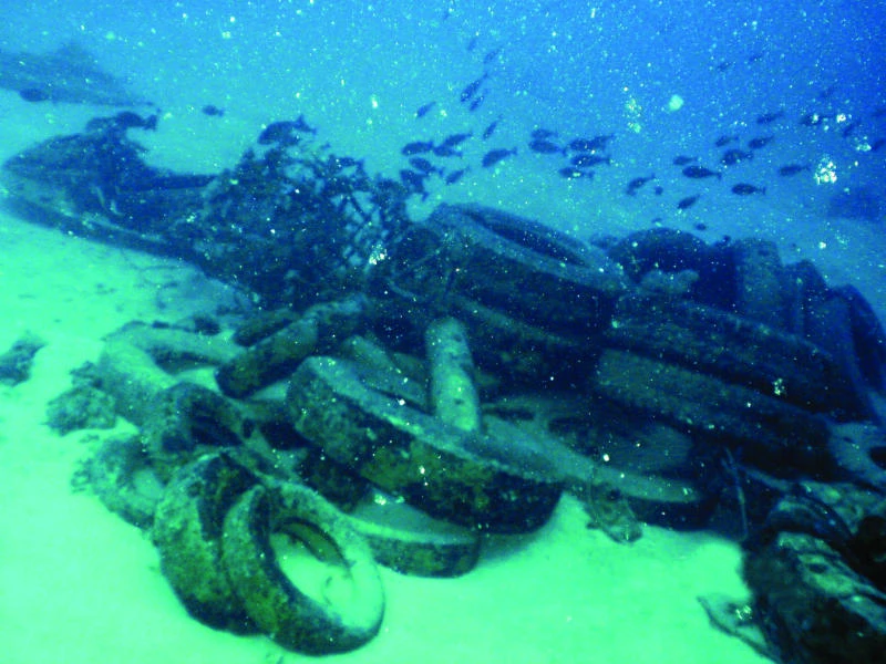 Red Sea coral reefs face extinction