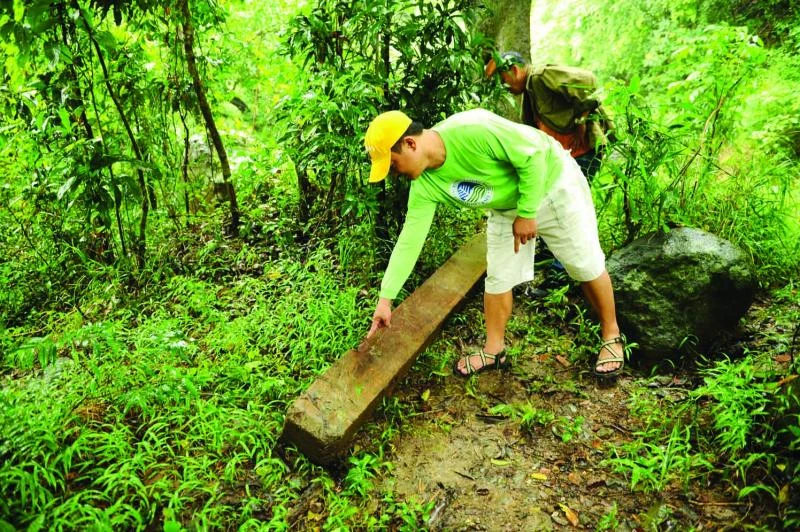 Rangers losing battle in Philippine forests