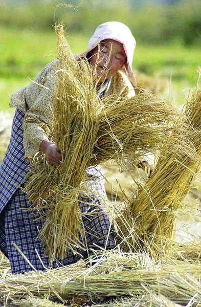 Bhutan aims to be first 100% organic nation