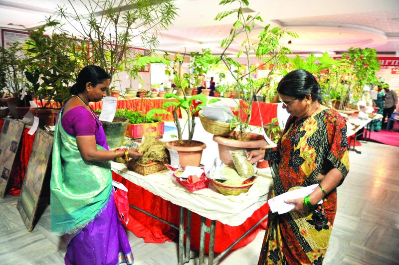 India fights to protect its traditional home remedies