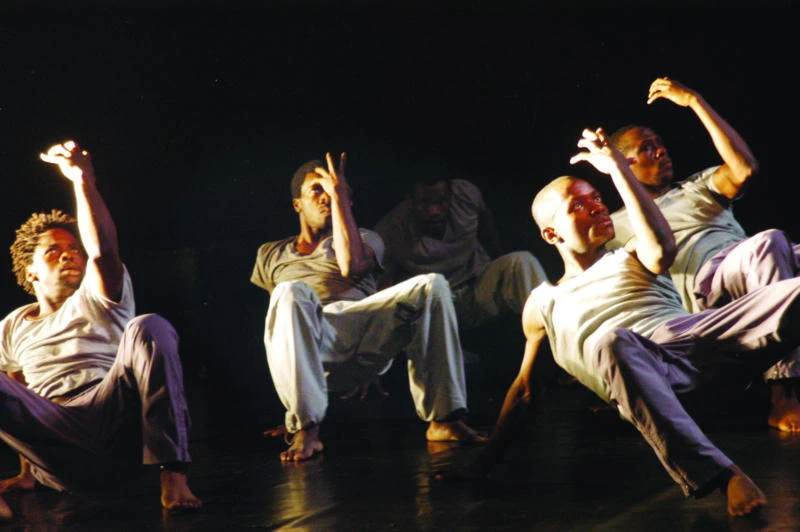 From krumping to contemporary, dancers channel Africa