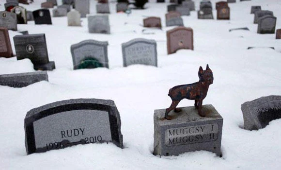 NY pet cemetery makes way into history