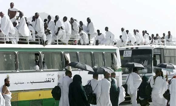 160 drivers fined for smuggling pilgrims