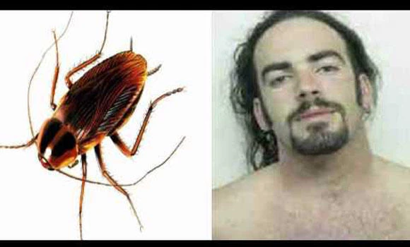 US man dies after cockroach-eating contest