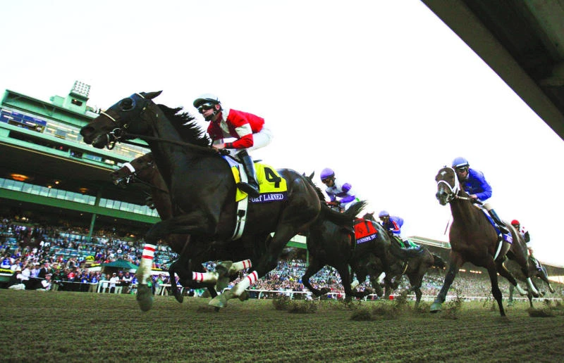 Fort Larned wins Breeders’ Cup Classic