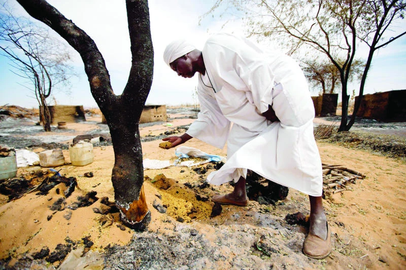 Give access to Darfur death site, Sudan urged