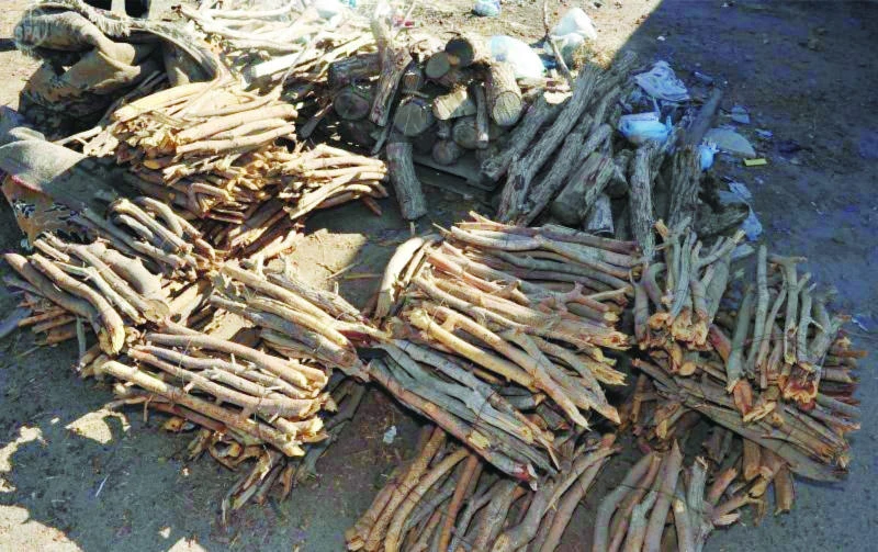 Asir gears up for winter chill