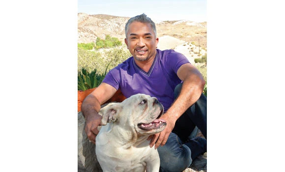 ‘Dog Whisperer’ looks forward to new lease on life
