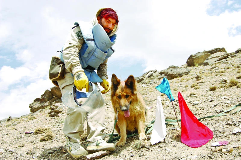 Man’s best friend takes on Afghanistan’s enemy