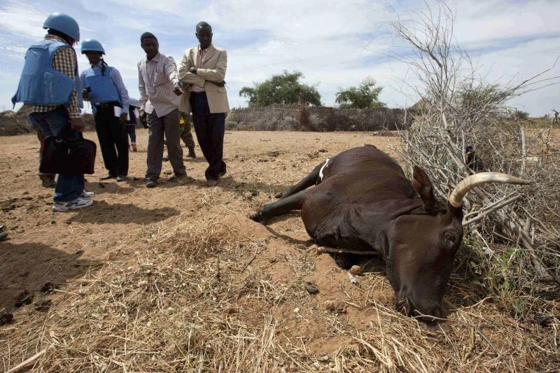 ‘Grave concern’ over worsening Darfur unrest