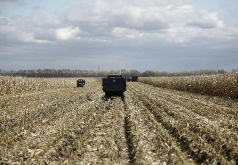China turns to machines as farmers seek fresh fields