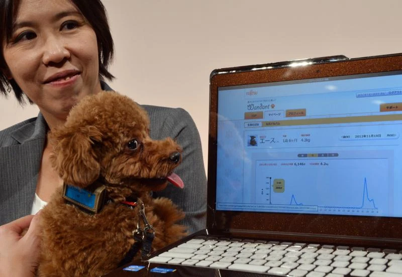 Health monitor for pets developed