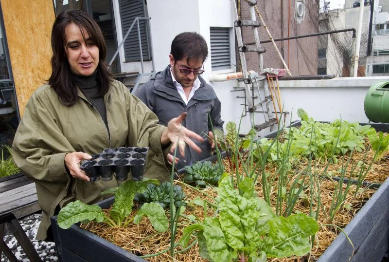 Green revolution sweeps Mexico