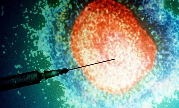 New SARS virus linked to bats