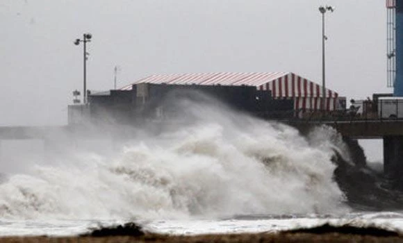 Pelicans blown off course by Sandy get plane ride home