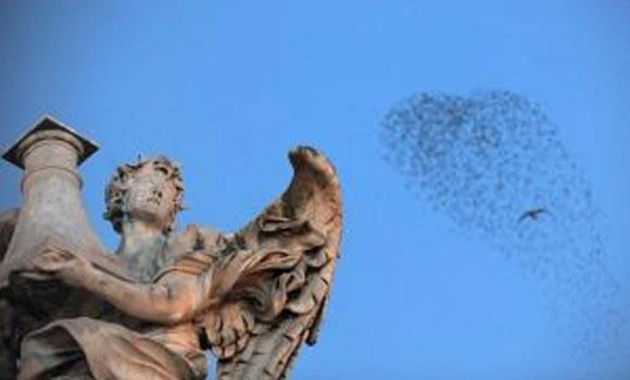 Light-and-sound attacks used against Rome’s starlings