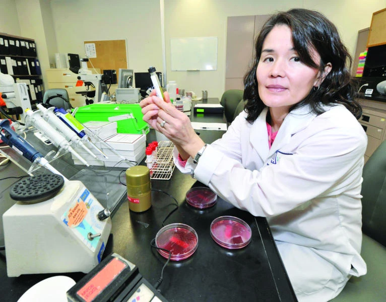 Human stool treatment upends race to treat colon germ