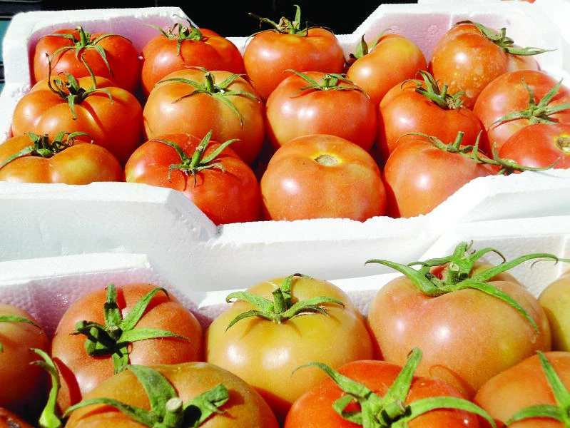 Local supplies bring veggie prices down
