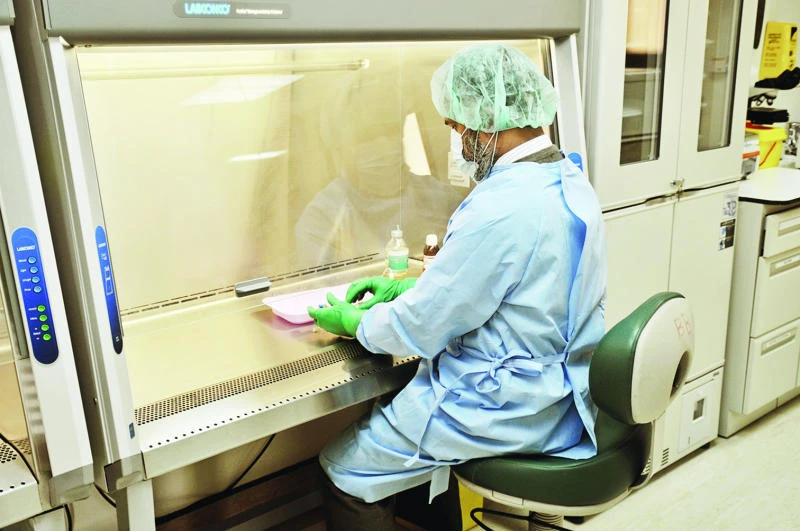 Hospital performs 50 stem cell transplants