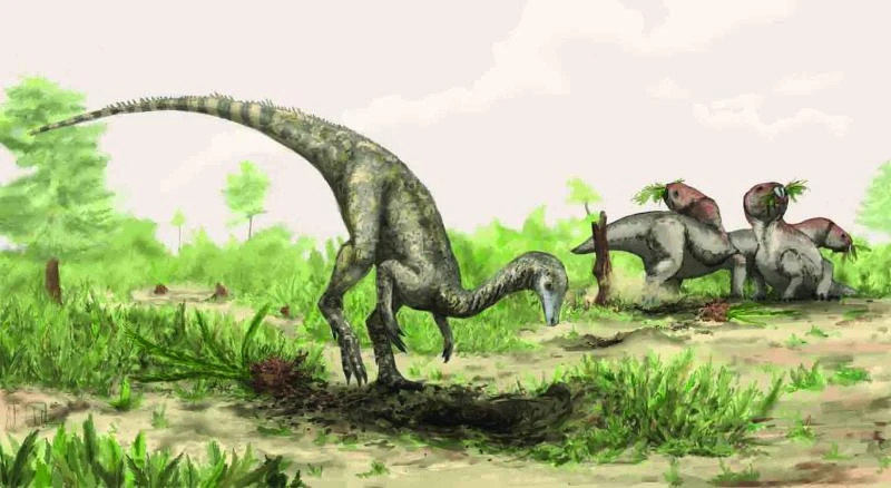 Fossils could be of first dinosaur to roam planet