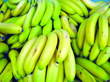 OFWs concerned over typhoon’s effect on Manila’s banana exports