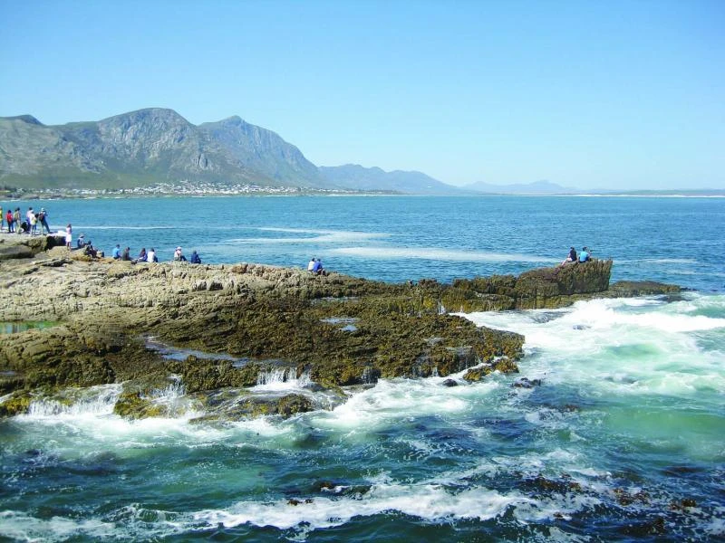 The South African perspective