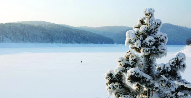 Snowstorm, cold grip US, Europe; many dead