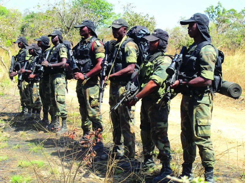 Faced with brutal elephant poachers, Cameroon calls in the army