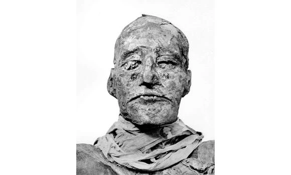Scientists solve 3,000-year-old pharaonic whodunit