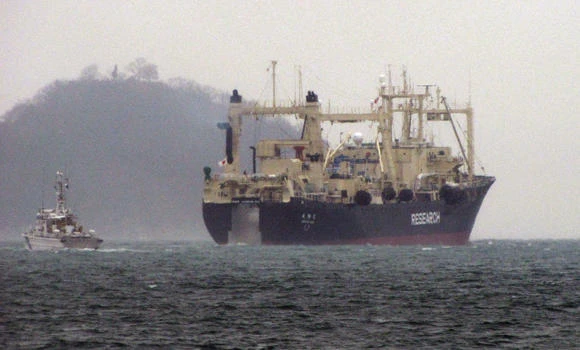 Australia legal challenge to Japan whaling moves closer