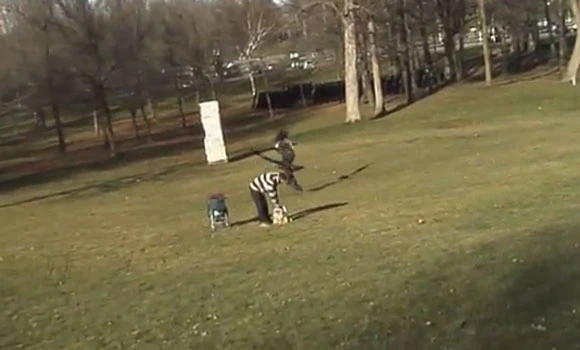Golden eagle snatches toddler in Canada Web video