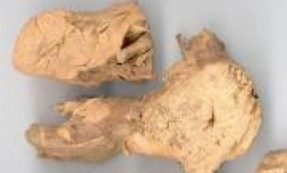 Revealed! Scientists discover secrets of ancient Chinese herb