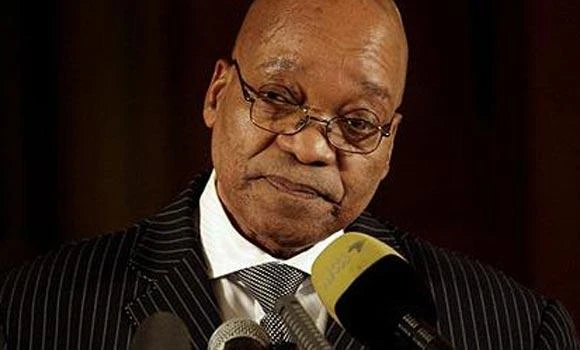 Zuma in doghouse after pet comments