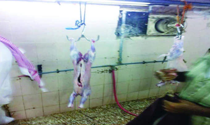 Jeddah eatery, toxic plant closed down